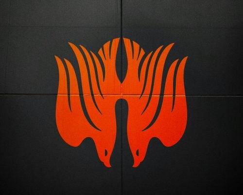 jon-tyson-lNaVQayNMEU-unsplash